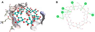 Preparation and investigation of a novel combination of Solanum nigrum-loaded, arabinoxylan-cross-linked β-cyclodextrin nanosponges for the treatment of cancer: in vitro, in vivo, and in silico evaluation